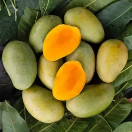 Mango | Amrupali